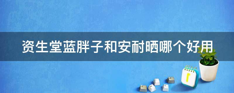 资生堂蓝胖子和安耐晒哪个好用（资生堂蓝胖子好用还是安耐防晒好用）