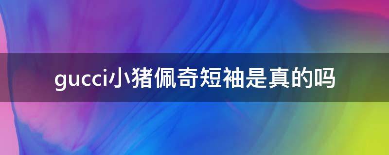 gucci小猪佩奇短袖是真的吗 gucci小猪佩奇t恤是真的吗