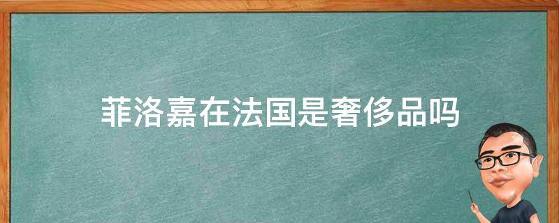 菲洛嘉在法国是奢侈品吗（菲洛嘉在法国什么档次）