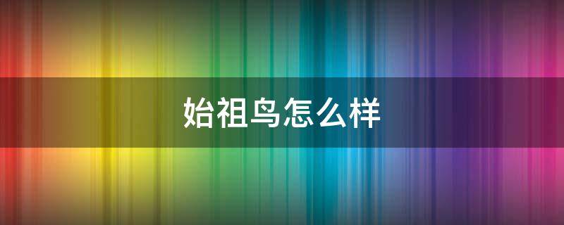 始祖鸟怎么样 始祖鸟怎么样进入国内市场的