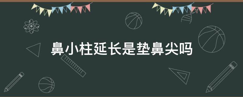 鼻小柱延长是垫鼻尖吗 抬高鼻小柱必须垫鼻尖吗