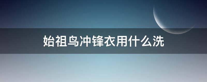 始祖鸟冲锋衣用什么洗（始祖鸟冲锋衣能干洗吗）