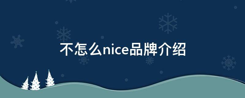 不怎么nice品牌介绍 nice品牌的标志