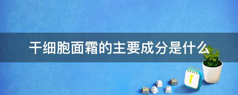 干细胞面霜的主要成分是什么（干细胞面霜的作用）