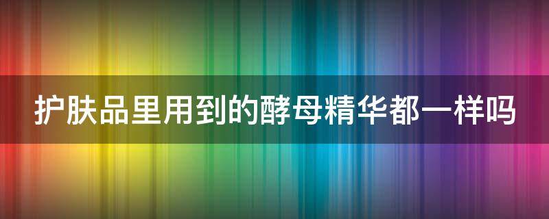 护肤品里用到的酵母精华都一样吗（酵母精华液好用吗）