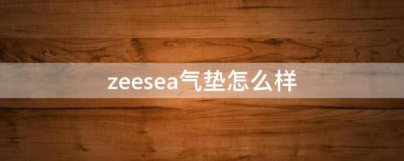 zeesea气垫怎么样（滋色zeesea气垫好用吗）