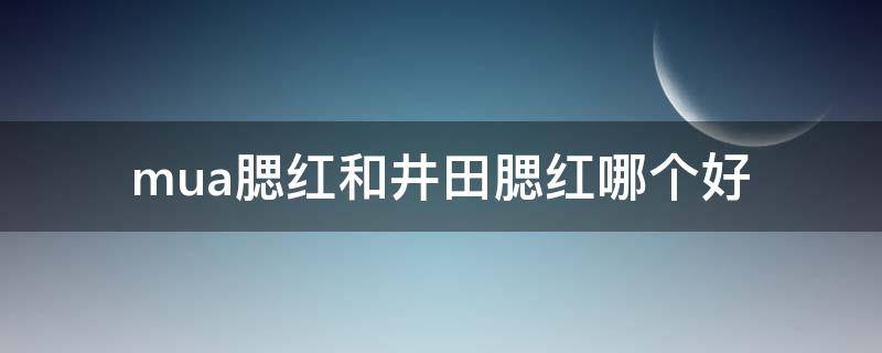 mua腮红和井田腮红哪个好（井田单色腮红）