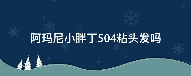 阿玛尼小胖丁504粘头发吗（阿玛尼小胖丁504和506区别）