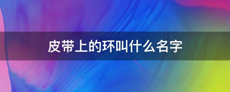 皮带上的环叫什么名字（皮带上的金属环叫什么）