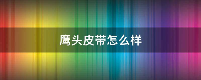 鹰头皮带怎么样 鹰头皮带是什么牌子