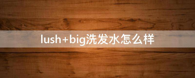 lush big洗发水怎么样