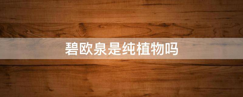 碧欧泉是纯植物吗 碧欧泉百科