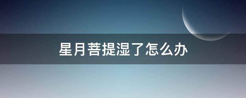 星月菩提湿了怎么办（星月菩提湿水了还能要吗）