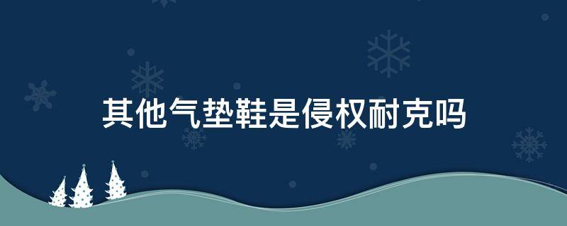 其他气垫鞋是侵权耐克吗（耐克气垫鞋淘宝上是真的吗）