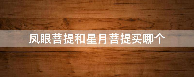凤眼菩提和星月菩提买哪个（凤眼好还是星月菩提好）
