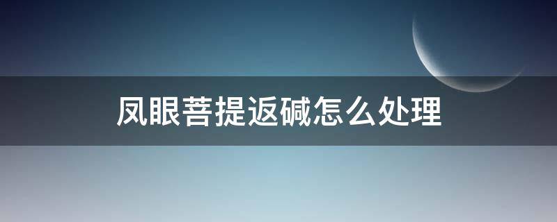 凤眼菩提返碱怎么处理 金刚菩提子返碱怎么处理