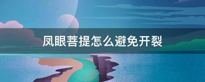 凤眼菩提怎么避免开裂 凤眼菩提裂口怎么办