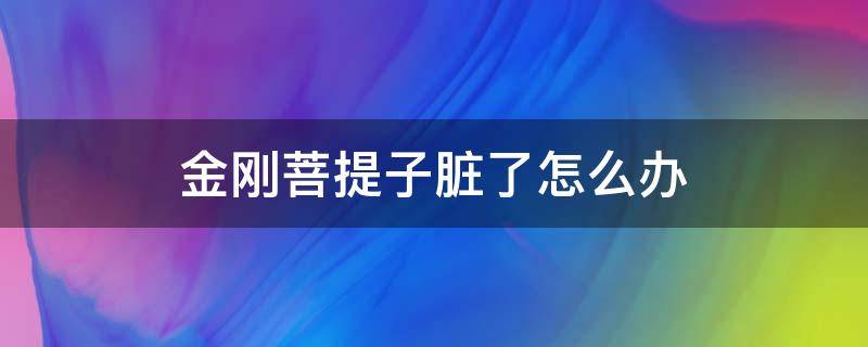金刚菩提子脏了怎么办 金刚菩提脏了怎么处理