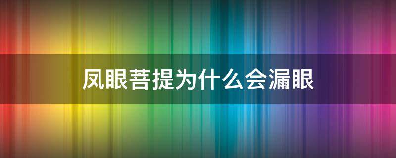凤眼菩提为什么会漏眼（凤眼菩提漏眼是什么意思）