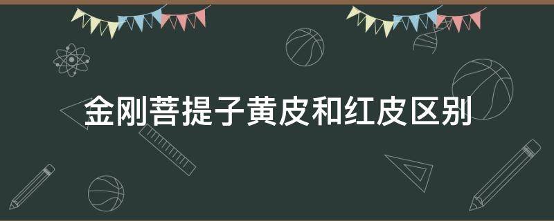 金刚菩提子黄皮和红皮区别 小金刚菩提黄皮好还是红皮好