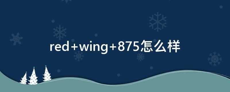 red wing 875怎么样