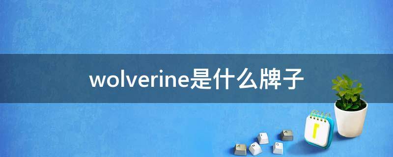wolverine是什么牌子（wolverine是什么牌子衣服）