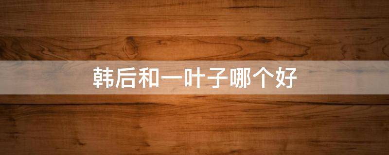 韩后和一叶子哪个好（化妆品一叶子的好还是韩后的好）