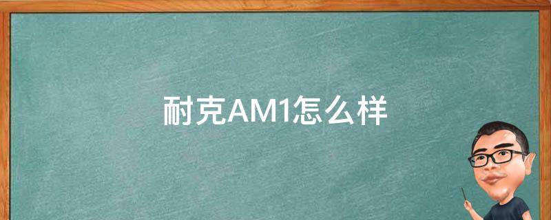耐克AM1怎么样 nike am1