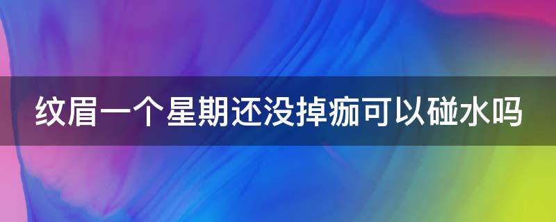 纹眉一个星期还没掉痂可以碰水吗（纹眉一个星期还没掉痂可以碰水吗）