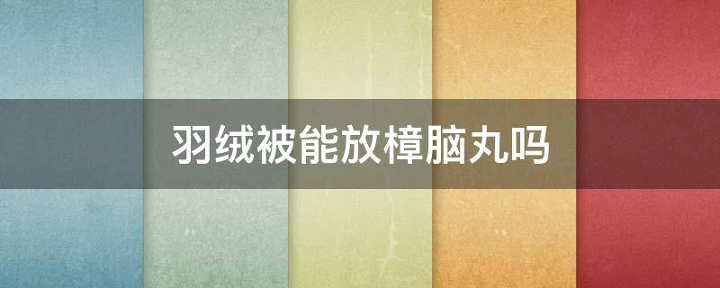 羽绒被能放樟脑丸吗（羽绒服存放可以使用樟脑丸吗）