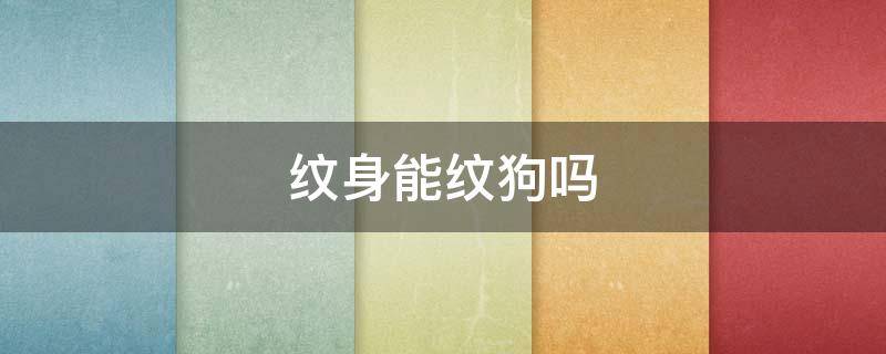 纹身能纹狗吗 给狗狗纹身会怎么样
