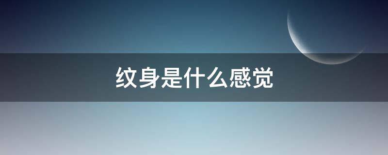 纹身是什么感觉 纹身的人给人一种什么感觉