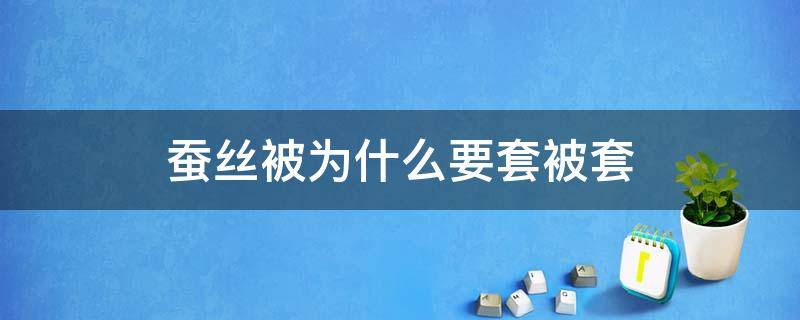 蚕丝被为什么要套被套 蚕丝被要套被套吗