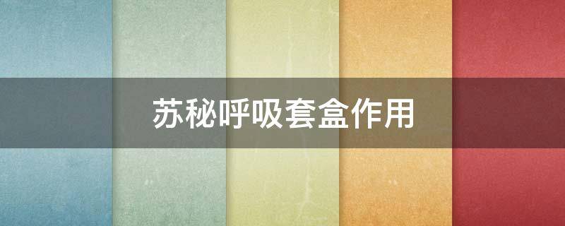 苏秘呼吸套盒作用（苏秘呼吸套盒成分表）