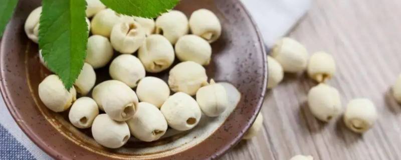 莲子寓意 手镯上莲子寓意