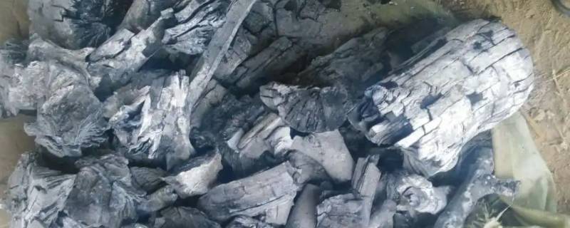 钢炭是用什么做成的 钢炭的制作方法