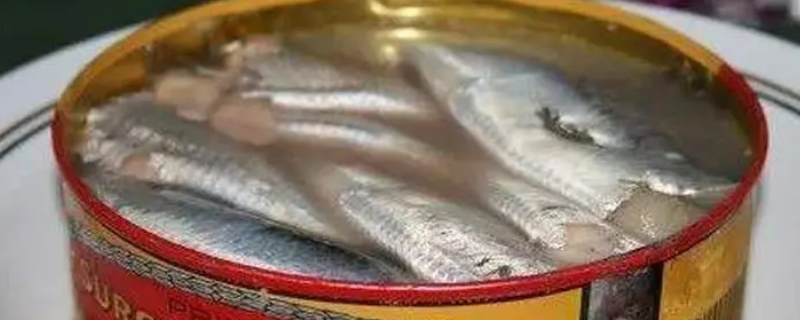 鲱鱼罐头到底有多臭 鲱鱼罐头到底有多臭视频