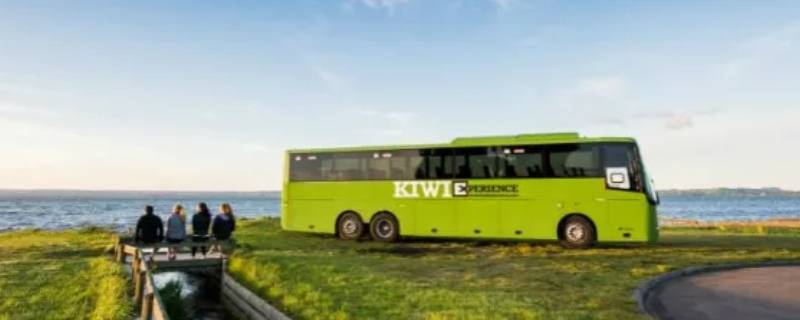 长途旅行怎么下车（长途旅行怎么上车）
