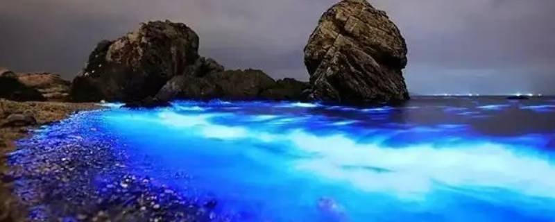 荧光海在什么情况下能够出现（荧光海是怎样形成的）