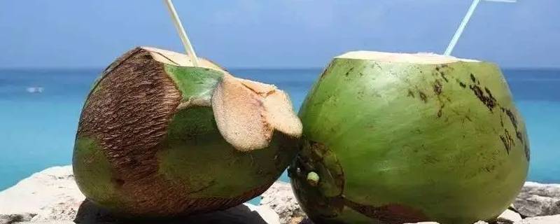 椰子能放冰箱冷藏几天 新鲜的椰子放冰箱能保存几天?