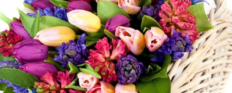 鲜花保鲜小妙招（鲜花怎么保鲜?鲜花保鲜有什么秘诀）