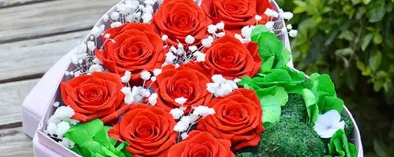 九朵花什么意思（9朵花的花语是什么意思）