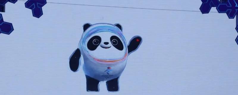 冰墩墩为什么有个壳（冰墩墩外壳）
