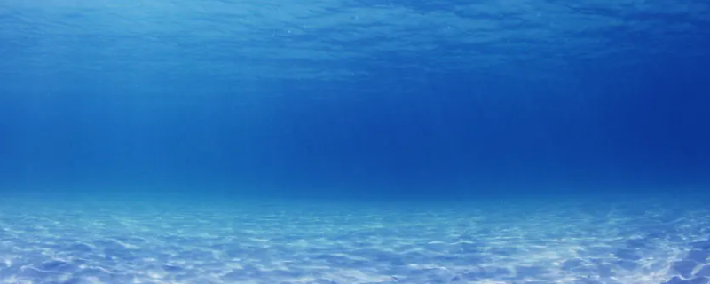 海洋和陆地哪个面积大（地球上海洋和陆地哪个面积大）