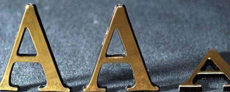 aa是什么 aa是什么意思