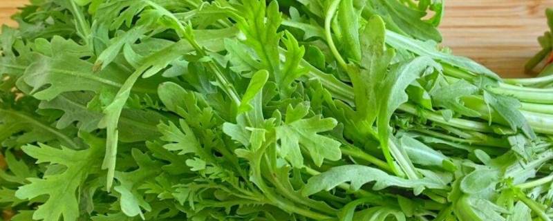鹅菜又叫什么菜（广东鹅菜是什么菜）