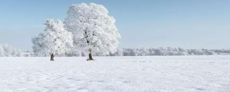 10毫米雪是多大（十毫米雪多大）