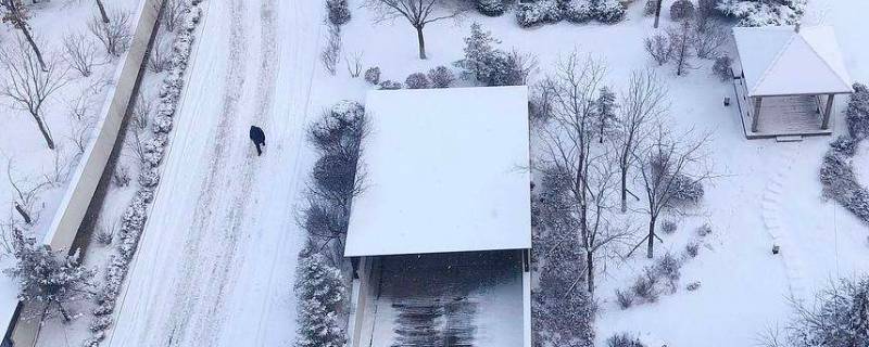 如何快速除雪 如何快速除雪除冰