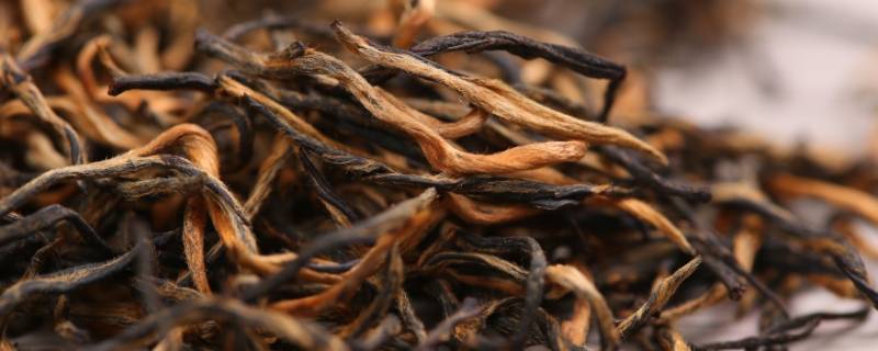 闽红茶是什么茶 福建红茶是什么茶