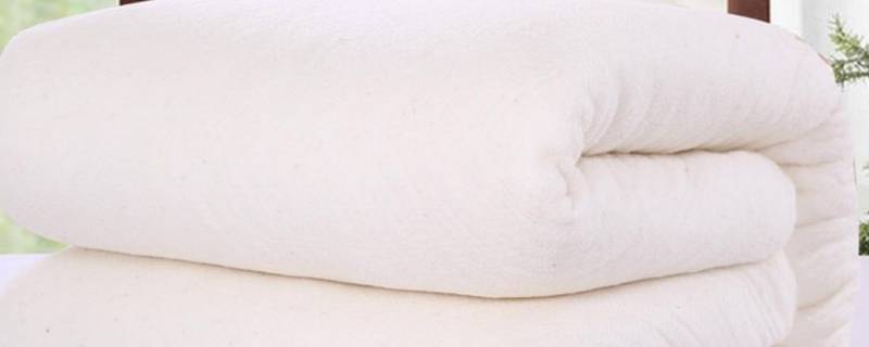 蚕丝被可以洗吗（薄的蚕丝被可以洗吗）